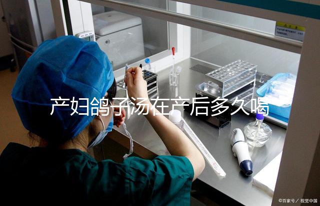 產婦鴿子湯在產后多久喝合適?網友看法各不一樣