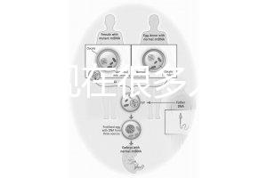 為什么現在很多人選擇用第三代試管嬰兒技術做試管嬰兒？