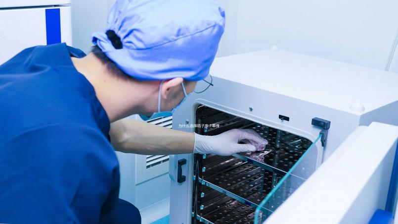 為什么選擇精子庫？單身女性推崇精子銀行的4個理由