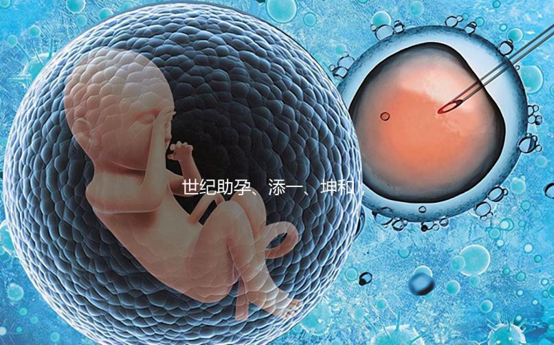 世紀(jì)助孕、添一、坤和，一起來看看上海助孕公司哪家好？