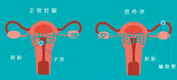 三代試管囊胚移植時間與成功率解析:移植周期與成功率一目了然