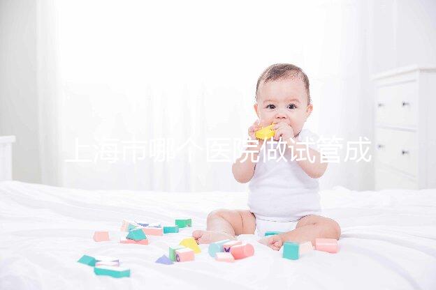 上海市哪個醫院做試管成功率高最好的？