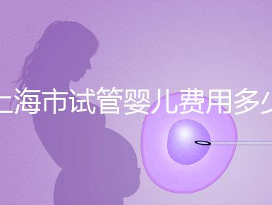 上海市試管嬰兒費(fèi)用多少錢?2025年最新價(jià)格明細(xì)及影響因素