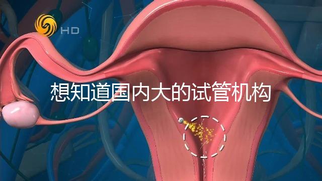想知道國內(nèi)大的試管機構，可以查到的那種？