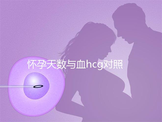 懷孕天數(shù)與血hcg對照表參考，孕早期排除病理性生化妊娠