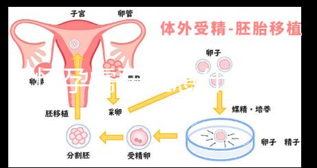 懷孕需要注意什么?
