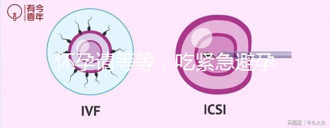 懷孕請(qǐng)等等,吃緊急避孕藥多久能有性生活看專(zhuān)家怎么說(shuō)