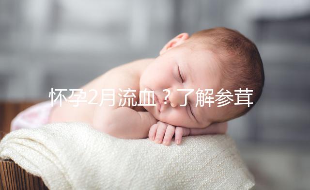 懷孕2月流血？了解參茸保胎丸作用可輕松保胎