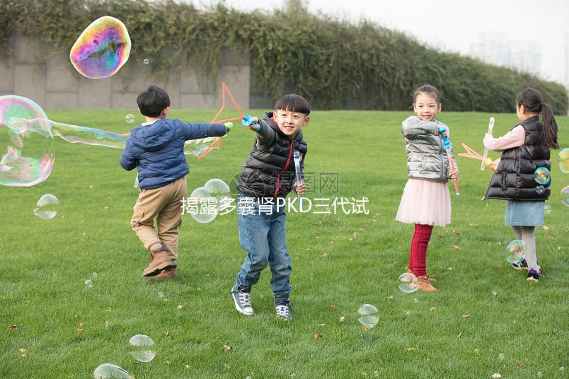 揭露多囊腎PKD三代試管取17個卵異常怎么辦？