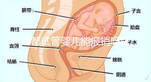 成都試管嬰兒能報(bào)銷(xiāo)嗎醫(yī)保?政策解讀