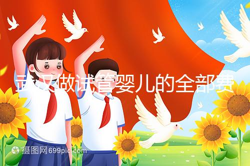 武漢做試管嬰兒的全部費(fèi)用大概是多少錢？