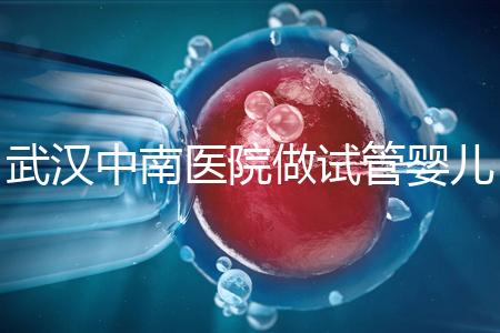 武漢中南醫(yī)院做試管嬰兒需要多少錢：2025年這些試管收費有變動
