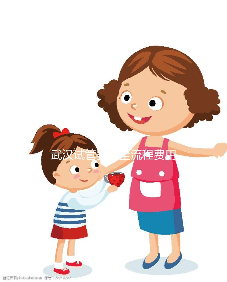 武漢試管嬰兒全流程費(fèi)用明細(xì)，助孕各階段真實(shí)價格參考