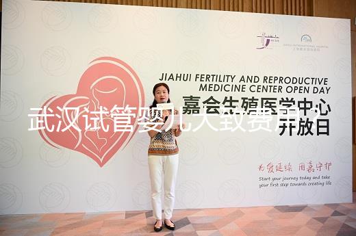 武漢試管嬰兒大致費用？