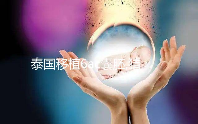泰國(guó)移植6ac囊胚,猜測(cè)結(jié)果不如了解,助孕過(guò)程更放心