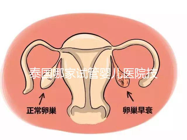 泰國哪家試管嬰兒醫院技術好？這些醫院排名前三