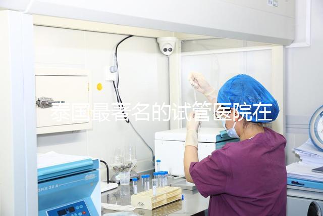 泰國最著名的試管醫(yī)院在哪里最好？推薦助孕機(jī)構(gòu)名單
