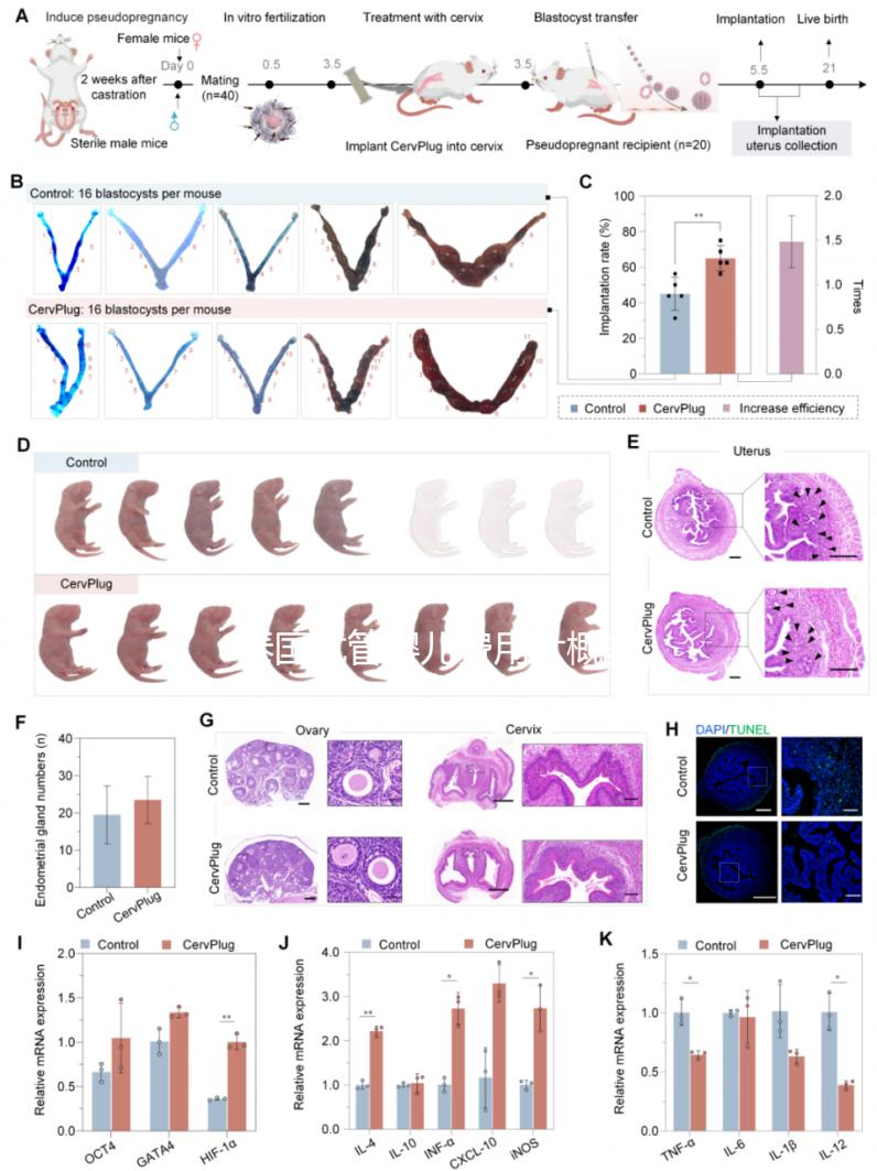 泰國試管嬰兒費用大概多少？從業(yè)12年的老友想和你聊聊這些真心話
