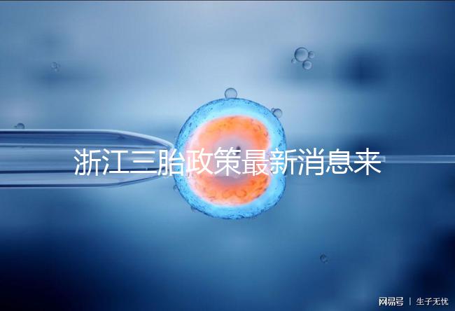 浙江三胎政策最新消息來襲，2024臺州有哪些補貼？