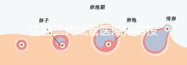 江西三代試管醫(yī)院排名投票截止！附前三位成功率和費(fèi)用詳解