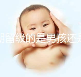 孕期留級的是男孩還是女孩別瞎猜，生兒子多是偶然或謠傳