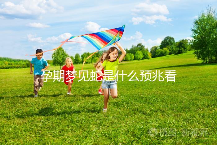 孕期夢見蛇是什么預(yù)兆看這,據(jù)說和生男生女有關(guān)還很準