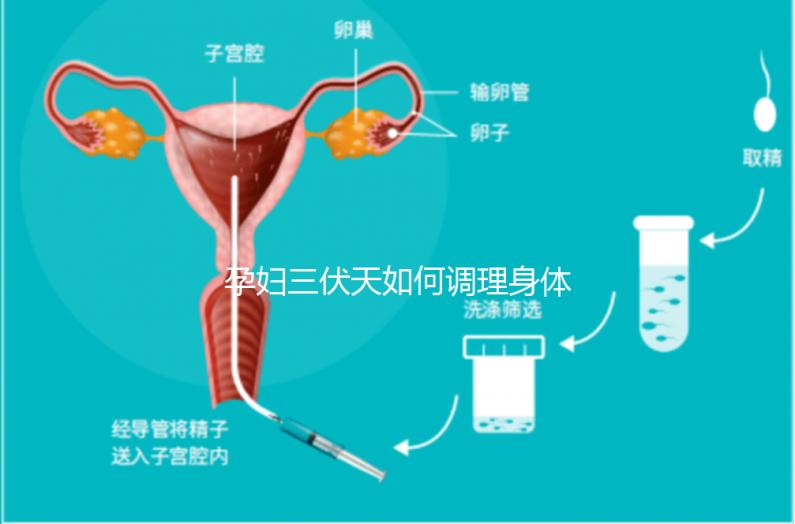 孕婦三伏天如何調理身體看這，專家：不建議曬太陽補鈣