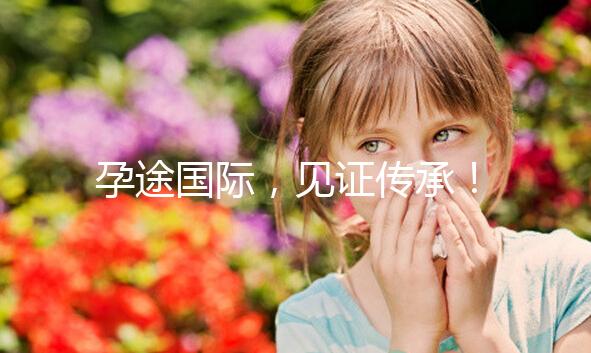 孕途國(guó)際，見證傳承！