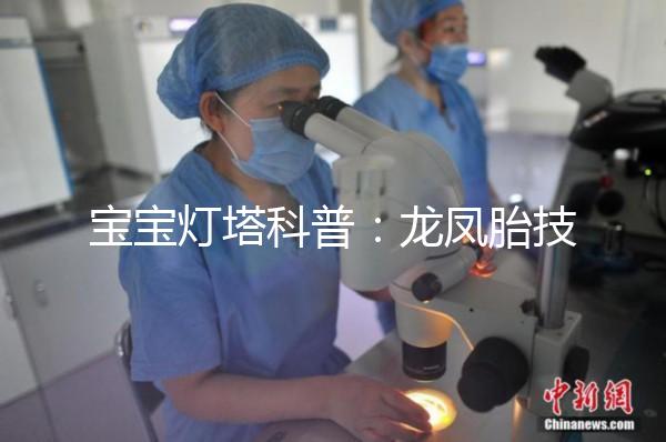 寶寶燈塔科普:龍鳳胎技術(shù)的原理和發(fā)展!