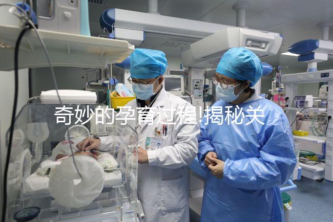 奇妙的孕育過程!揭秘關(guān)于胚胎移植的神秘14天