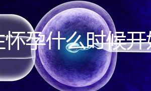 女性懷孕什么時候開始更準確？