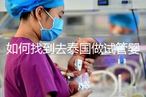 如何找到去泰國做試管嬰兒的本地翻譯？內部搜索可靠的本地翻譯方法分析