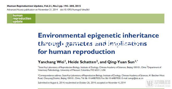 如何收取武漢同濟醫院的養囊費？查看最新試管費用明細估算？