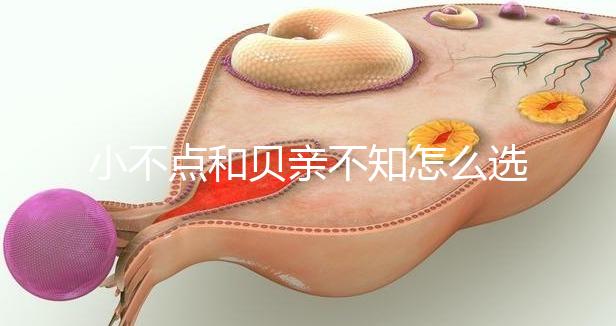 小不點和貝親不知怎么選，挑選一款合適的奶瓶有技巧