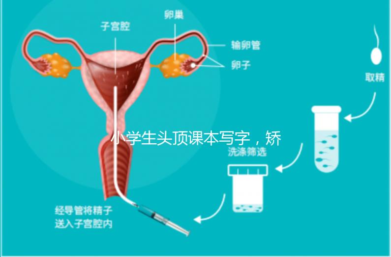 小學(xué)生頭頂課本寫字，矯正孩子坐姿還是學(xué)校更勝一籌