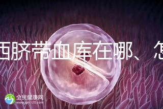 山西臍帶血庫在哪、怎么保存答案在這，太原存20年費用竟…