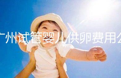 廣州試管嬰兒供卵費(fèi)用公布，中山一院6萬(wàn)不看情況