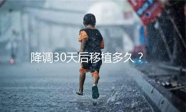 降調30天后移植多久？什么時候可以同房喝酒？