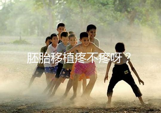 胚胎移植疼不疼呀？