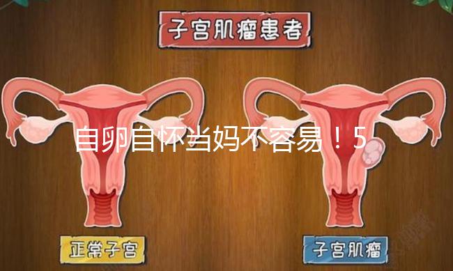 自卵自懷當(dāng)媽不容易！53歲做試管嬰兒這個案例真勵志