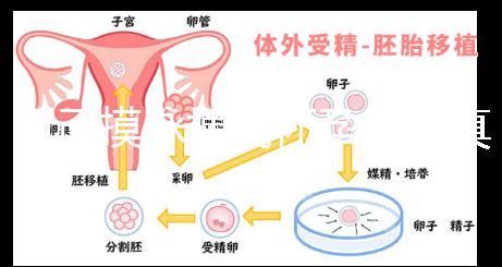 自己摸脈搏測懷孕方法真不難，想準(zhǔn)確率高關(guān)鍵是找對手法