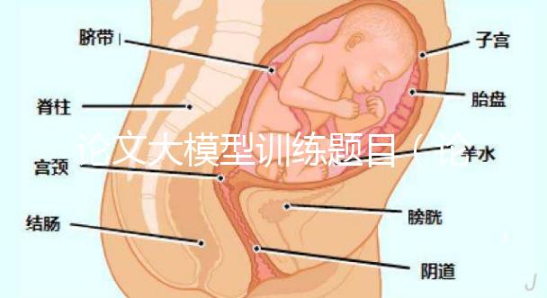 論文大模型訓(xùn)練題目（論文大模型訓(xùn)練題目怎么寫）
