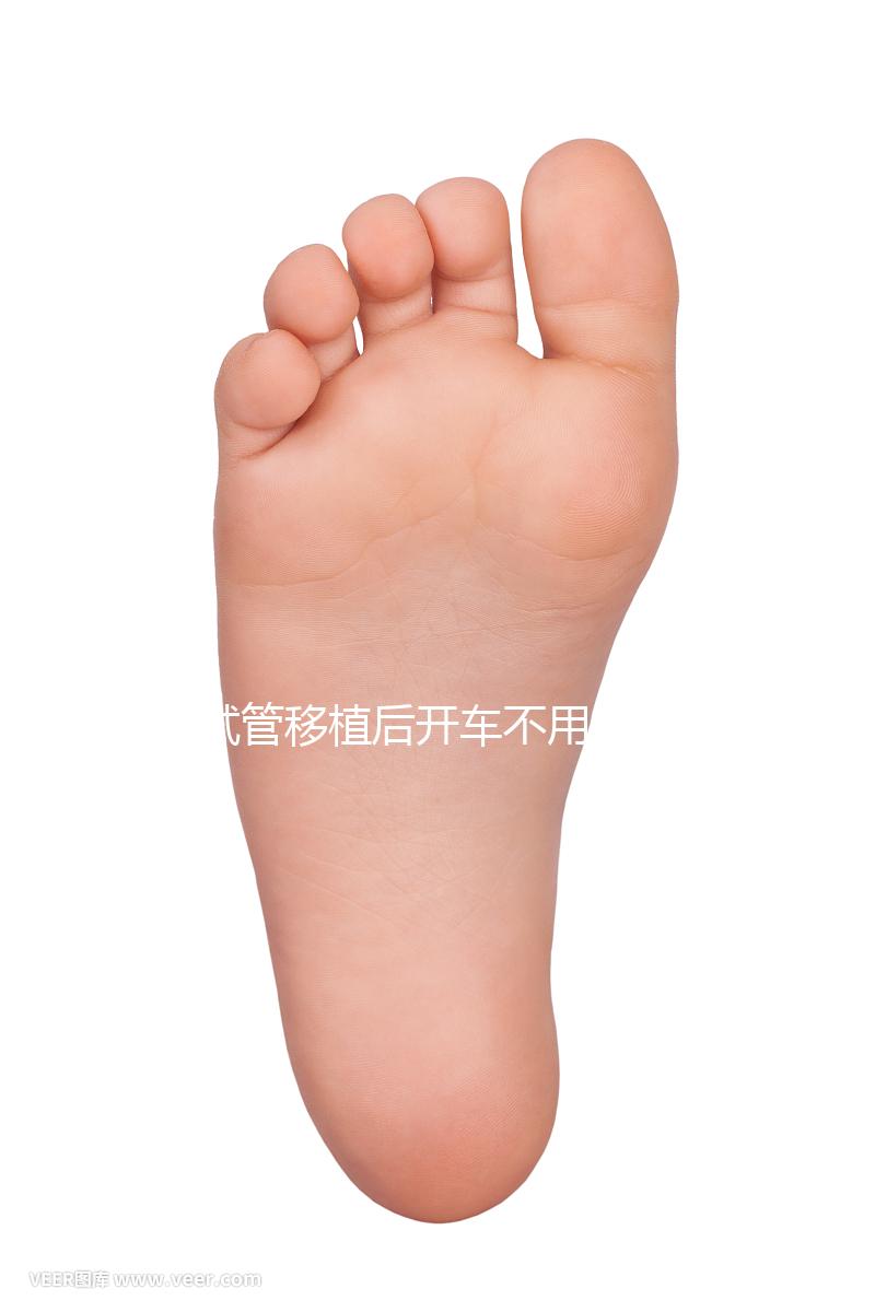 試管移植后開車不用太講究，休息和出行問題解答都在這里