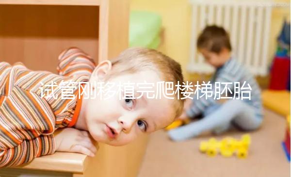 試管剛移植完爬樓梯胚胎會掉出來是謠言！這3大影響了解下