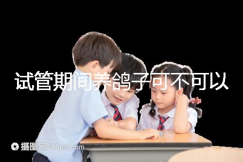 試管期間養鴿子可不可以大揭秘，影響抵抗力千萬注意