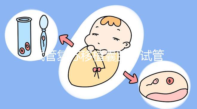 試管復(fù)蘇移植囊胚(試管復(fù)蘇移植囊胚成功率)