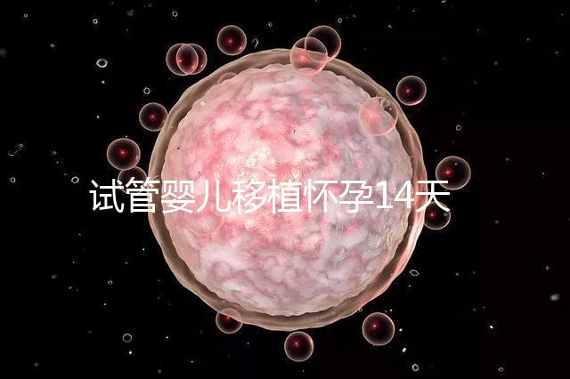 試管嬰兒移植懷孕14天，還能吃巧克力餅干嗎？