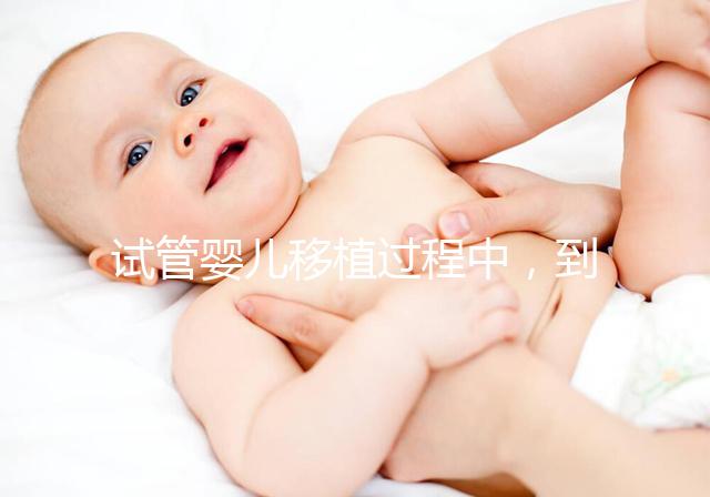 試管嬰兒移植過程中，到底是囊胚好還是鮮胚好？