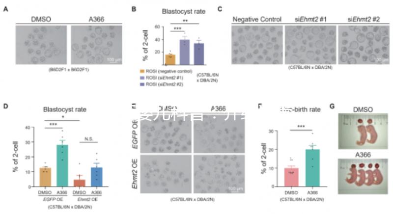 試管嬰兒科普：介紹試管嬰兒的基本概念、原理、分類、適應癥、優勢等