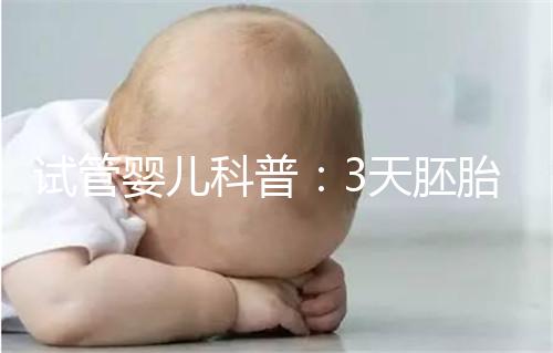 試管嬰兒科普：3天胚胎和5天囊胚，哪個移植成功率更高